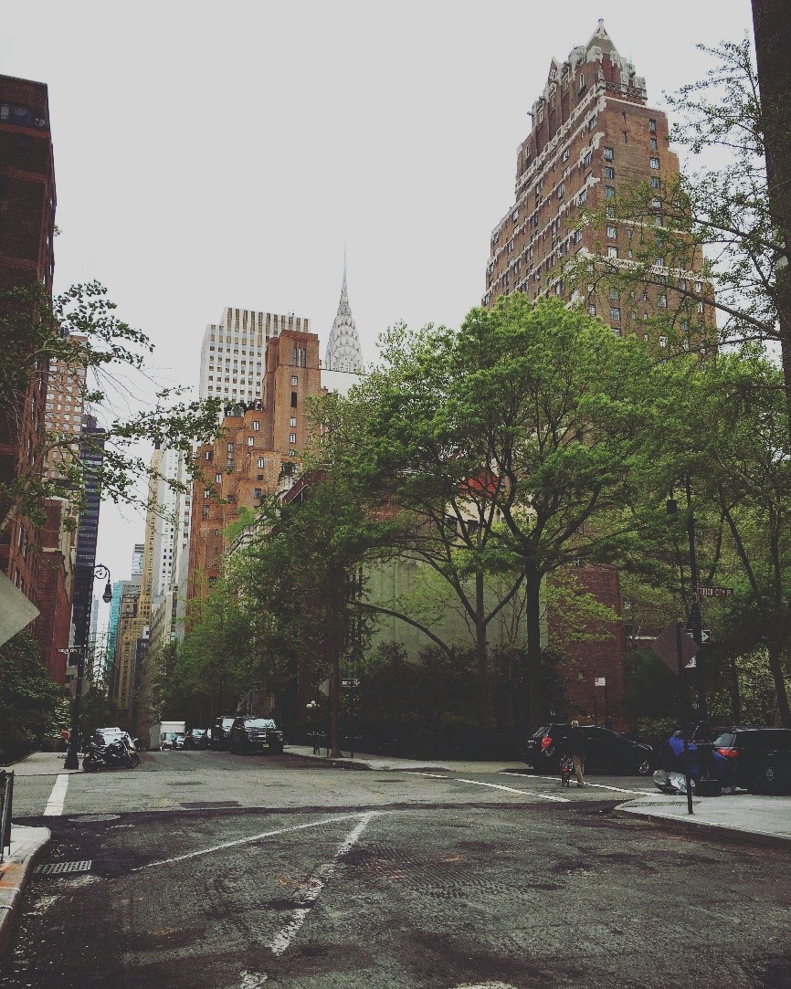 The Importance of Routine Tree Health Assessments